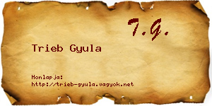 Trieb Gyula névjegykártya